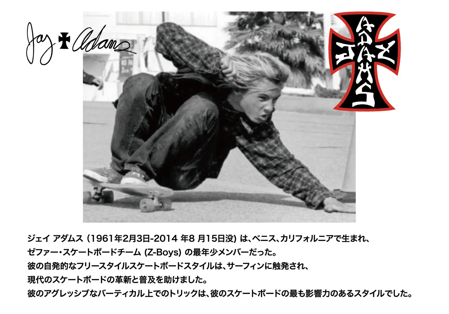 JAY ADAMS - 有限会社SHO